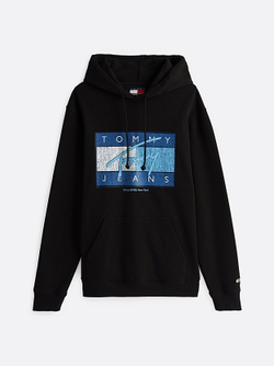 Толстовка мужская TOMMY JEANS TJM REG DNA FLAG TWI