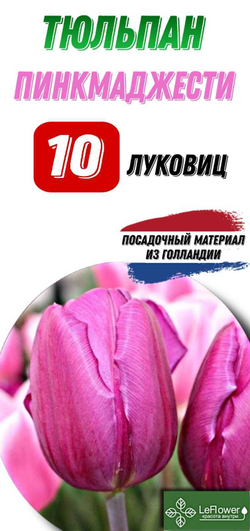 Тюльпан Луковица, Пинк Маджести, 10шт