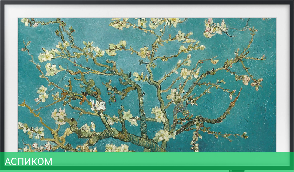 Телевизор QLED Samsung 32" QE32LS03CBUXRU