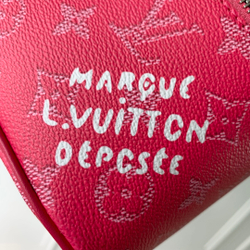 Louis Vuitton Nice Mini