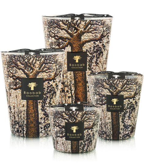 Morondo, свеча MAX 24 Sacred Trees collection, Baobab Collection