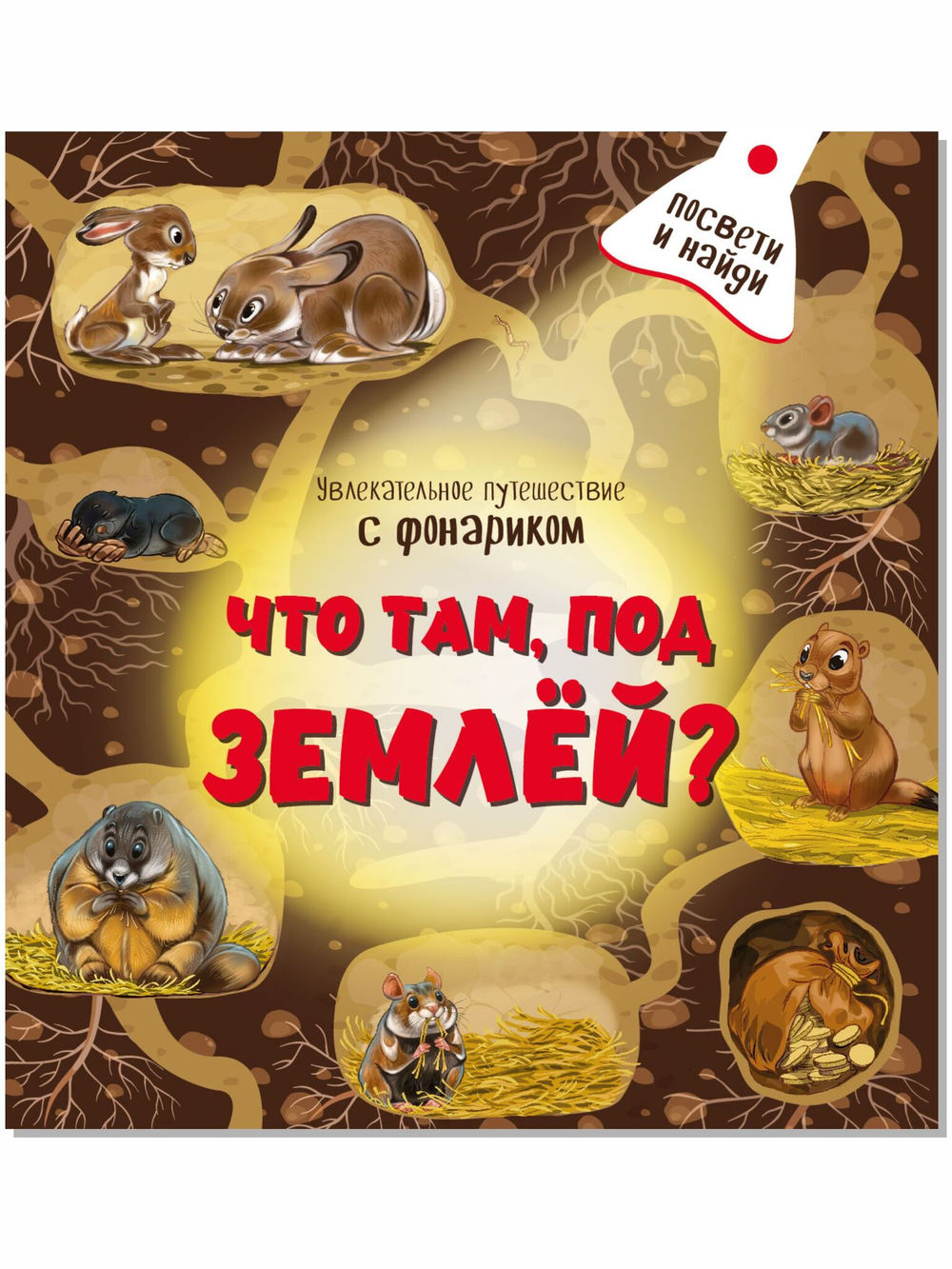 Книжка с фонариком "Что там, под Землёй?"