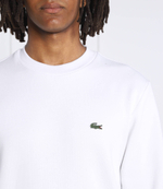 Худи Lacoste - белый(SH9608)