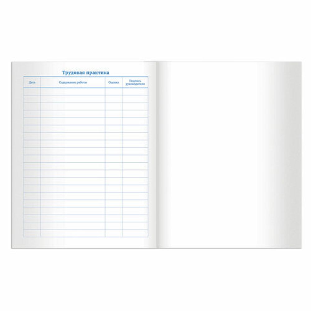 Дневник 5-11 класс 48 л., твердый, BRAUBERG, глянцевая ламинация, с подсказом, "Кот и космос", 105584