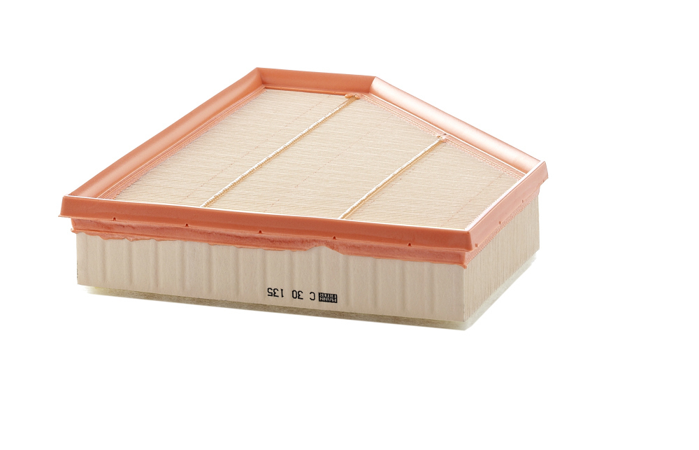 MANN-FILTER - C30135-MNF - Air Filter