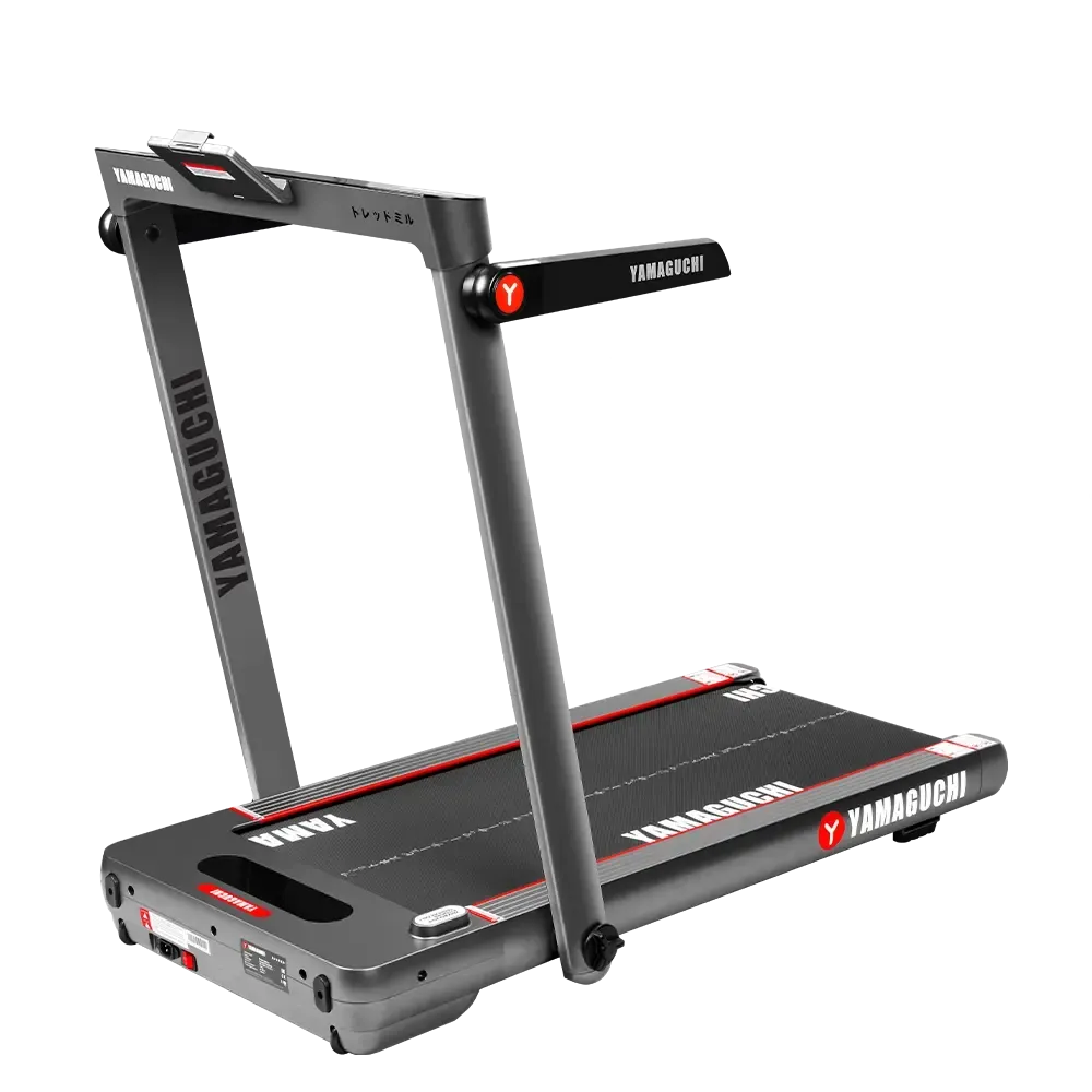Беговая дорожка Yamaguchi Home RACE