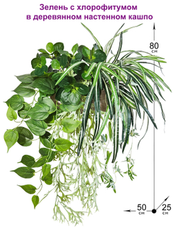 Искусственная зелень с хлорофитумом в деревянном настенном кашпо