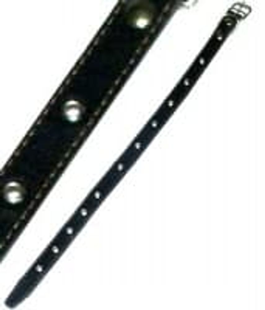 Ошейник шир.25мм с подкладом и блочкой (040) длина 39-52см