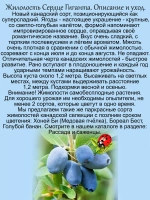 Жимолость Сердце Гиганта канадская поздняя сладкая