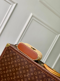 Louis Vuitton Vanity Chain Pouch