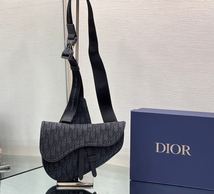 Christian Dior Saddle 26 cm