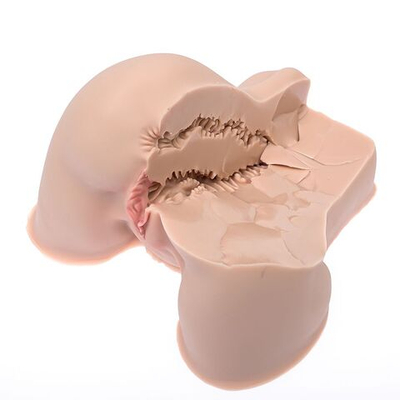 Мастурбатор-полуторс Naked Factory Kate (Цвет: телесный)