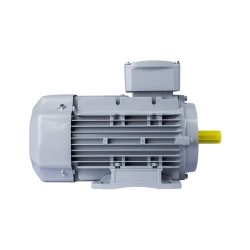 Электродвигатель ESQ PR 100 LB4-SDN-Б1-S12-IE2 3/1500 IMB34