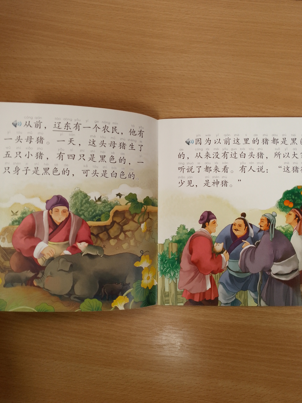 Chinese Idioms about Pigs and Their Related Stories (CHINESE GRADED READERS ELEMENTARY)