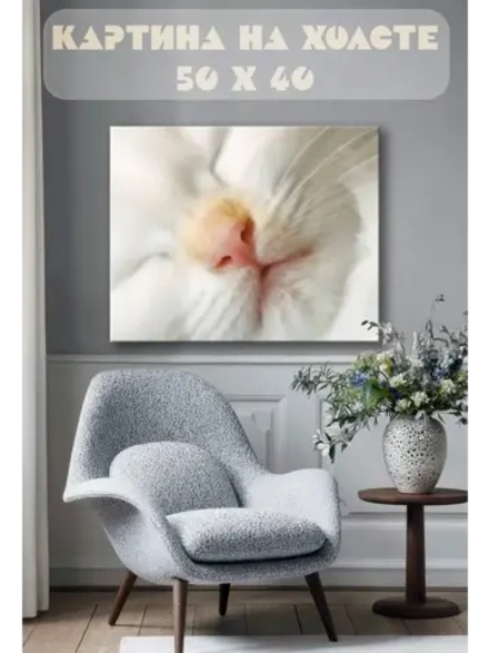 Картина на стену 40 X 50 Белый кот