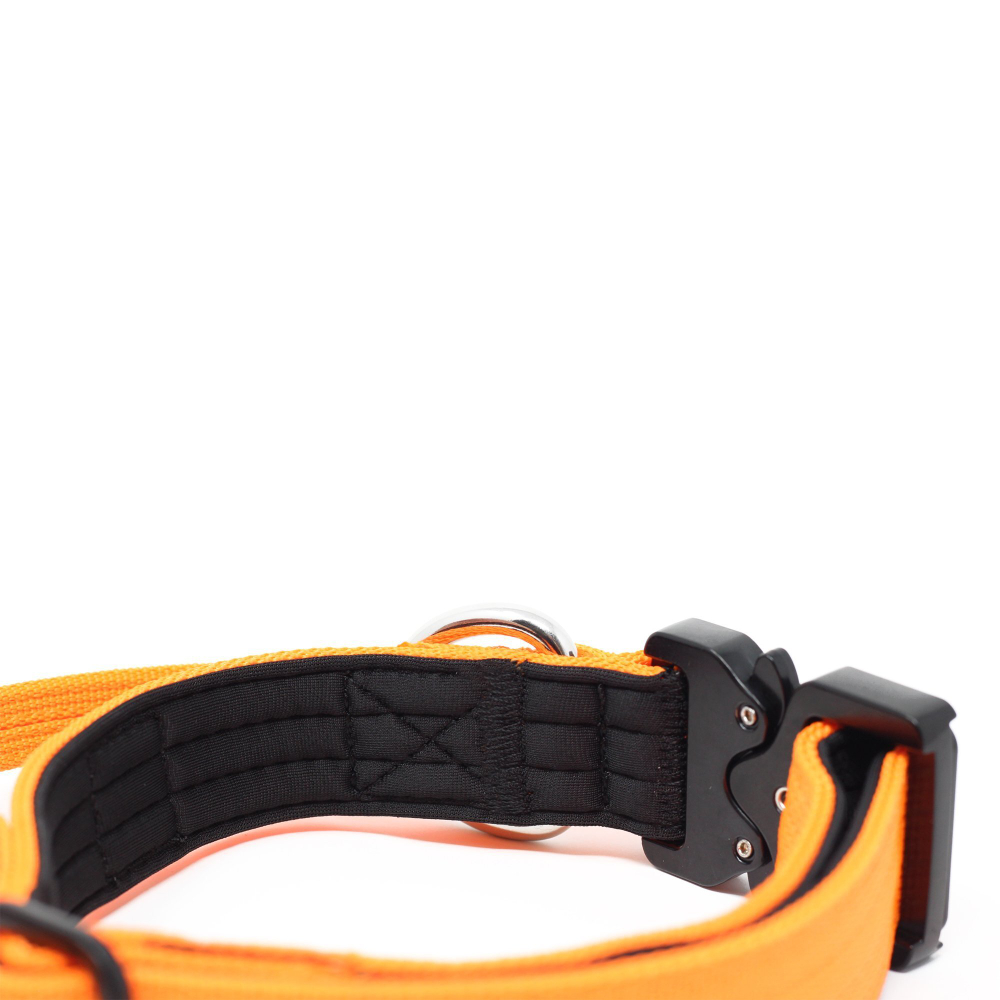 Ошейник Combat 2,5 см с ручкой BullyBillows