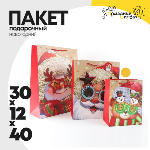 пакет 30 х 40 х 12 подарочный мишка новогодний (красный)