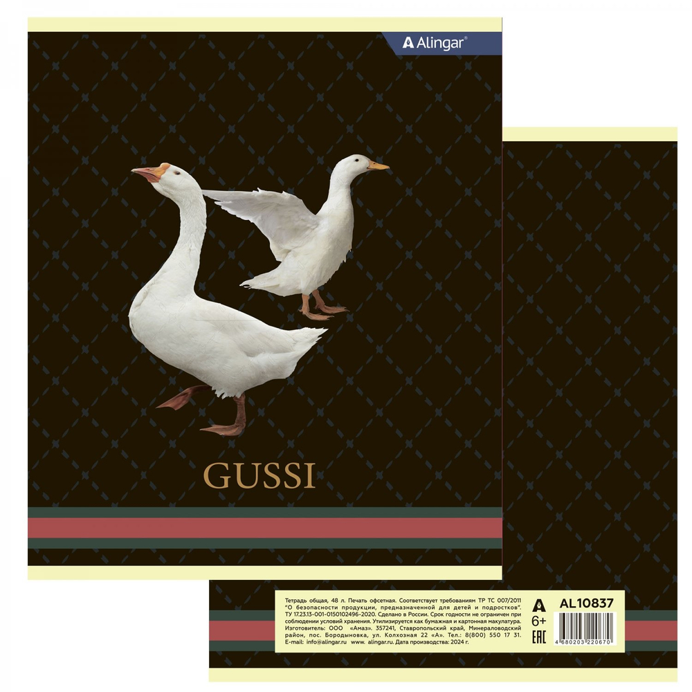 Тетрадь 48л., А5, клетка, Alingar "Enjoy every moment", скрепка, мелованный картон (стандарт), блок офсет, 4 дизайна в пленке т/у