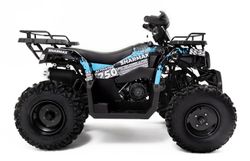 Квадроцикл взрослый Sharmax Activator 250 (P) без ПСМ