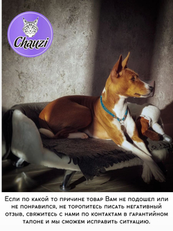 Лежанка для кошек и собак мелких и средних пород, диван Chauzi Лео ЭКОмех премиум, лежак для животных с бортиками, 70*50 см, Капучино