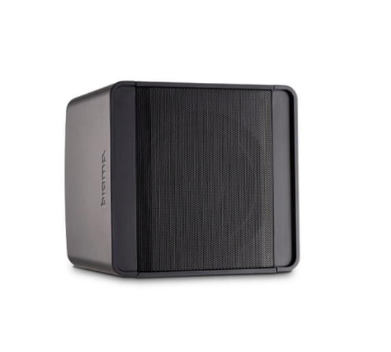 FDB Audio LS800 - Ландшафтная акустическая система 8" c IP-56
