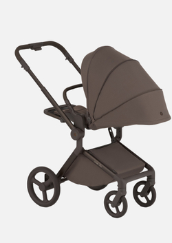 Anex Детская коляска Flo 2 в 1 Browny