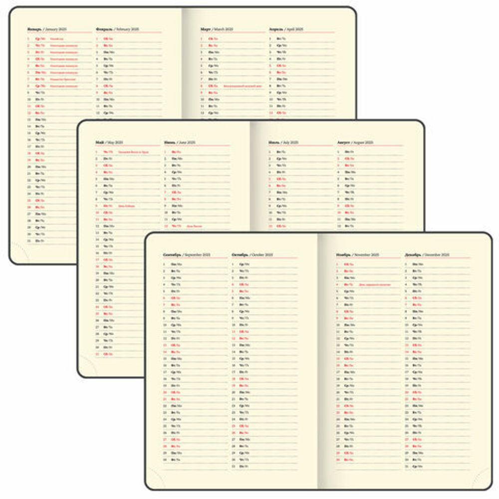 Ежедневник датированный 2025, А5, 138x213 мм, BRAUBERG "Cayman", под кожу, черный, 115772