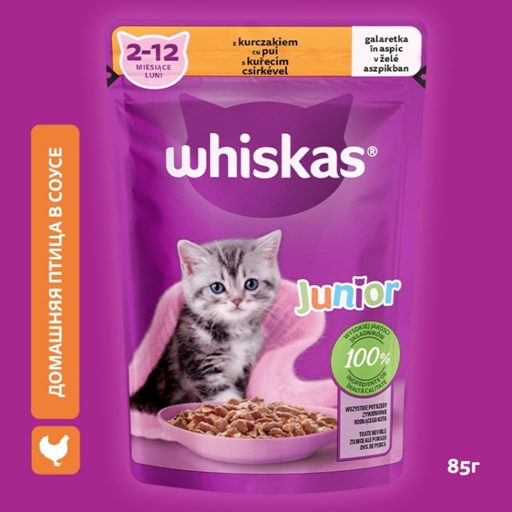 Whiskas POU 48x85g желе курица для котят