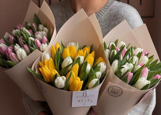 Моно с тюльпранами