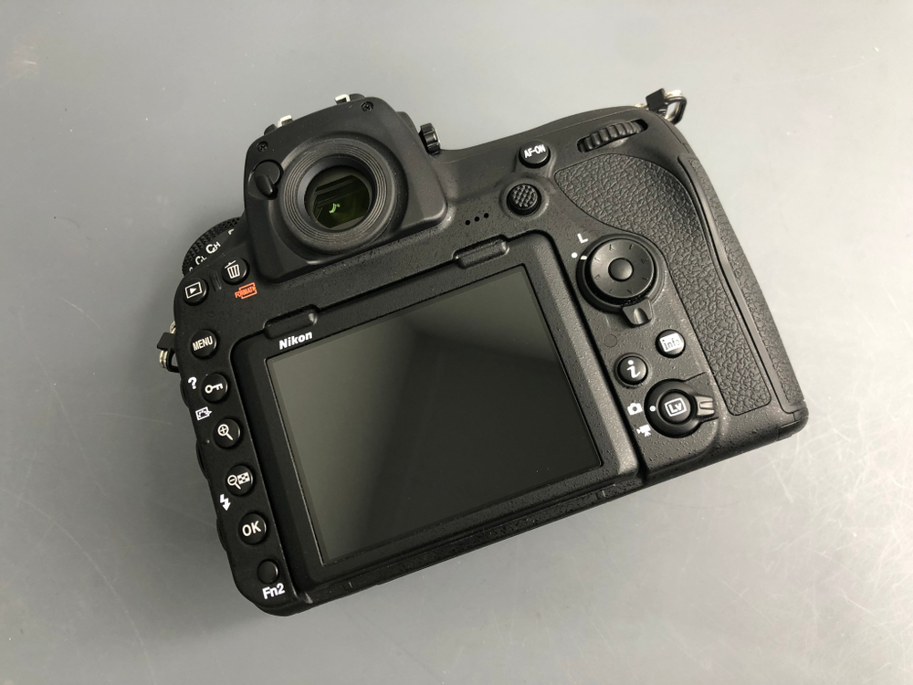 Nikon D850 (520 кадров)