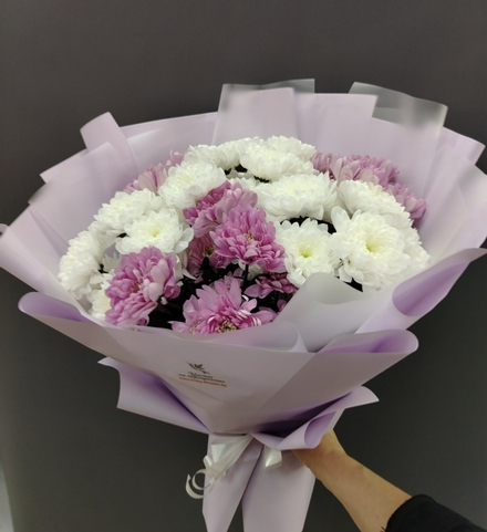 Букет из 7 веток хризантем Зембла, микс белых и фиолетовых