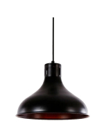 Потолочный светильник EDM 32111 Потолочный светильник Металл 60 W (30 x 25 cm)