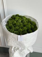 Моно букет из диантусов сорта Грин трик 51 шт