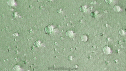 Палатка Outwell Wolf Lake 7 [110182]