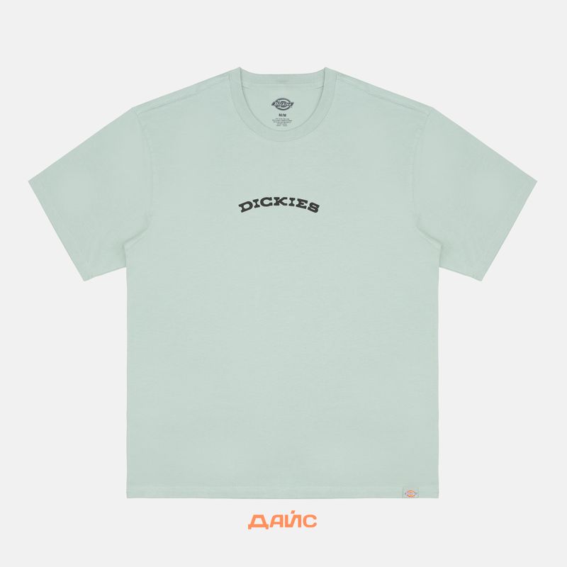 Футболка мужская Dickies Outdoor артикул:DK0A4Z8PK361 - купить в магазине Дайс