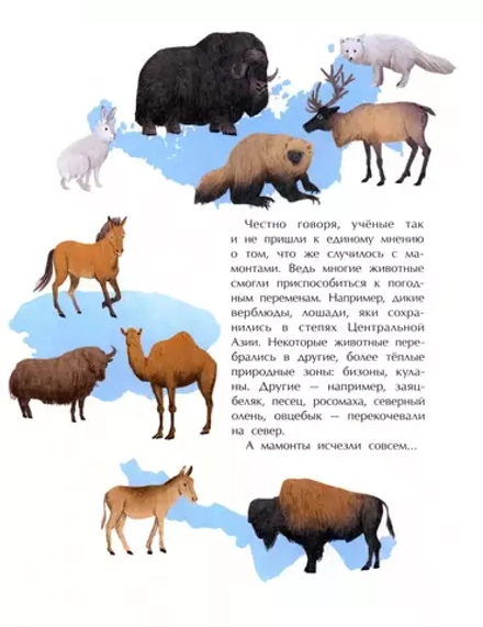 Мамонты. Дима, Женя и другие