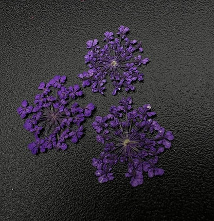 Сухоцветы "Любимые цветочки", 1683