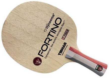 Tibhar Fortino Pro DC Inside
