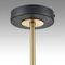 Потолочная люстра Lumion Comfi Lanika 8240/8C