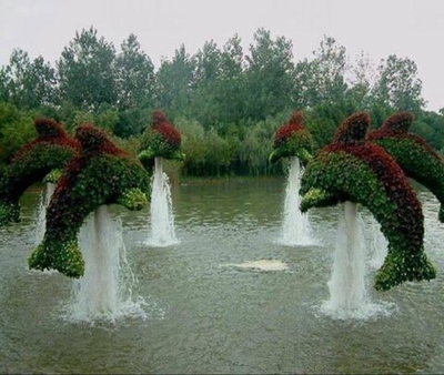 Топиарная фигура Дельфин