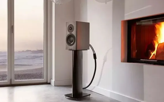 Dynaudio Special Forty Black Vine High Gloss