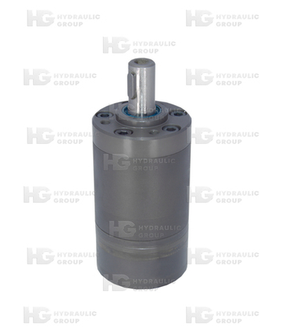 Гидромотор героторный MМ 8