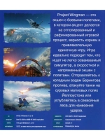 Project Wingman (ФЛЕШКА)