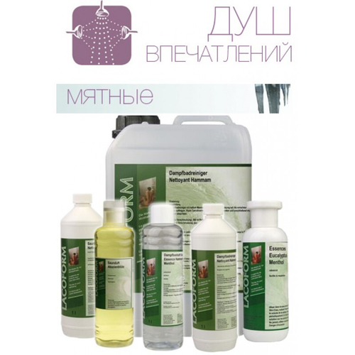 Ароматический концентрат Полярная ночь, для душа впечатлений, 5л.