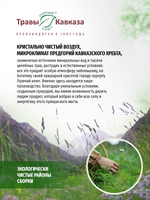 Сбор № 34 при ночном недержании мочи (энурезе)