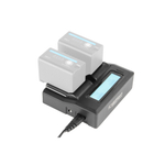 Зарядное устройство GreenBean DualCharger NPF-LCD