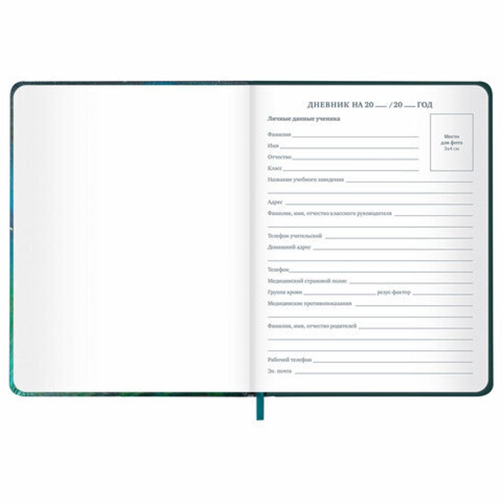 Дневник 1-11 класс 48 л., кожзам (твердая с поролоном), печать, резинка, конверт, BRAUBERG, "Мечты", 106949