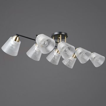 IL0845-8CSQ-25BKAB ELITE светильник потолочный