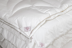 Одеяло всесезонное облегченное 200х200 German Grass Alliance Down