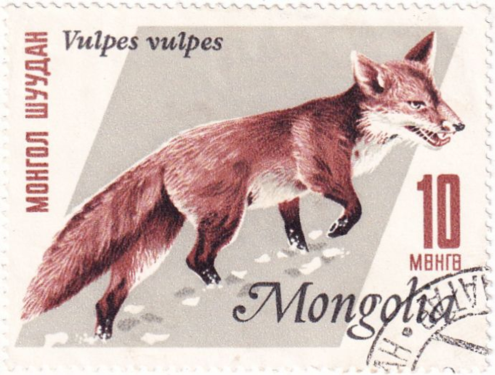 8 марок, Монголия, 1960-1970-е